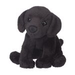 Lucy Black Lab