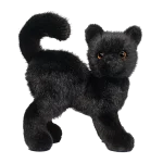 Scaredy Black Cat