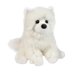 Opo White Pomeranian
