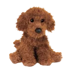 Ginger Miniature Poodle