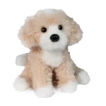 Darcy Golden Doodle