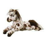 Duke Appaloosa Horse