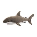 Fin Great White Shark