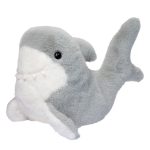 Surfer Shark