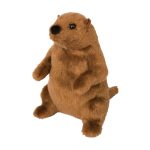 Mr. G Groundhog
